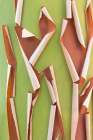 USA-Washington State-Seabeck Peeling madrone tree bark Art Print